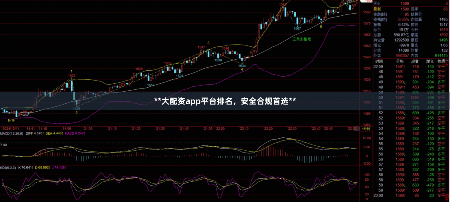 **大配资app平台排名，安全合规首选**