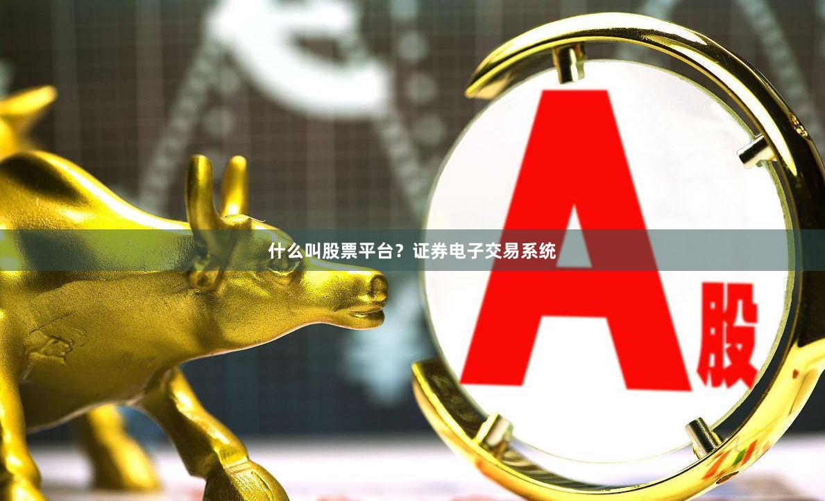 什么叫股票平台？证券电子交易系统