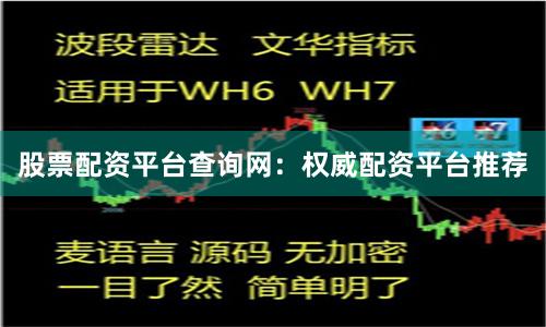 股票配资平台查询网：权威配资平台推荐