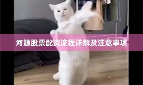 河源股票配资流程详解及注意事项